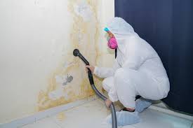 Forensic Mold Investigation in Beaver, WV